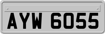 AYW6055