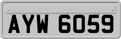 AYW6059
