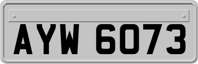 AYW6073