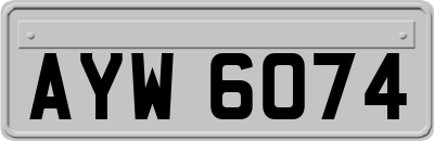 AYW6074