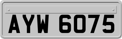 AYW6075