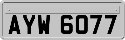 AYW6077