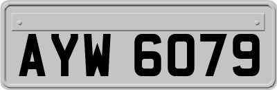 AYW6079