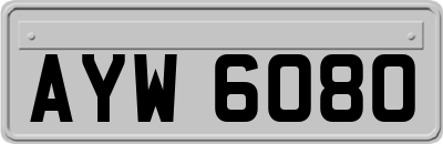 AYW6080