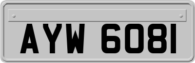 AYW6081