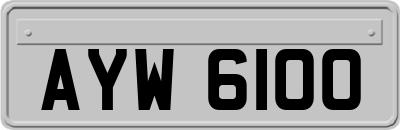 AYW6100