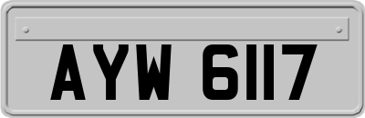 AYW6117