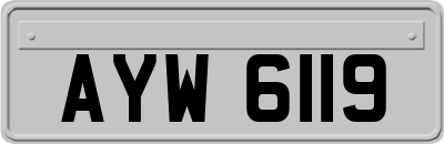 AYW6119