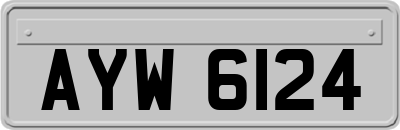 AYW6124