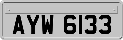 AYW6133
