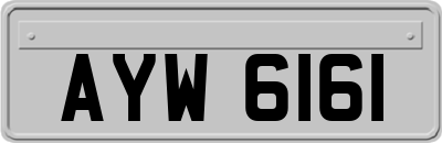 AYW6161