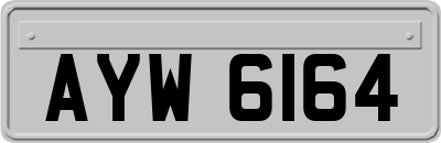AYW6164