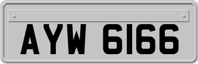 AYW6166