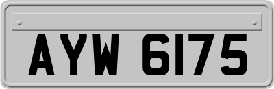 AYW6175