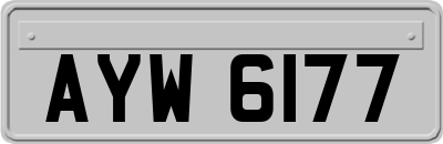 AYW6177