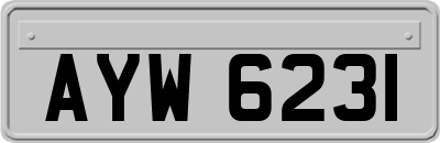 AYW6231