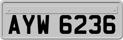 AYW6236