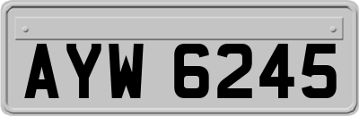 AYW6245