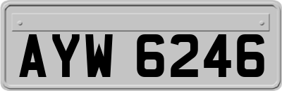 AYW6246