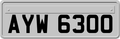 AYW6300