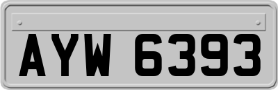 AYW6393