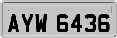 AYW6436
