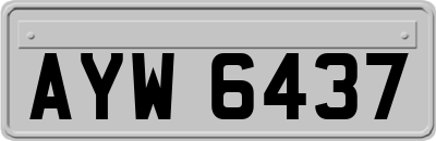 AYW6437