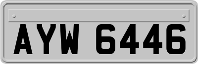 AYW6446
