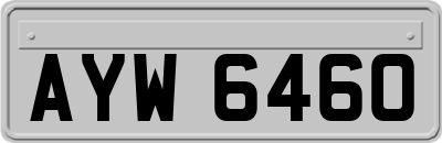 AYW6460