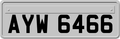 AYW6466