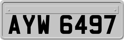 AYW6497