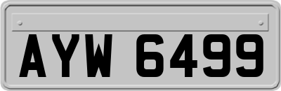 AYW6499