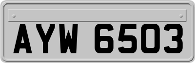 AYW6503