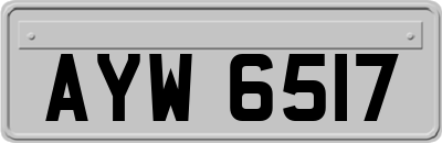 AYW6517
