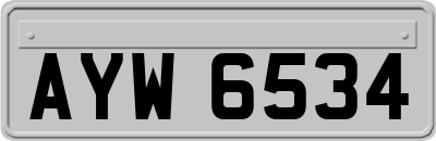 AYW6534