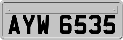 AYW6535