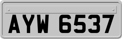 AYW6537
