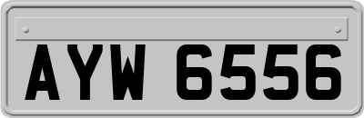 AYW6556