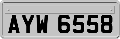 AYW6558