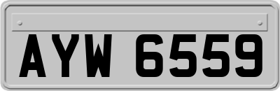 AYW6559