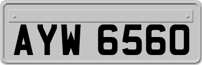 AYW6560