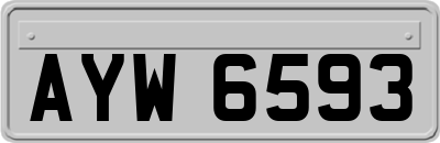 AYW6593