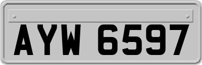 AYW6597
