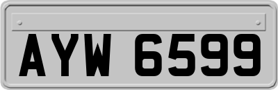 AYW6599