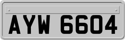 AYW6604