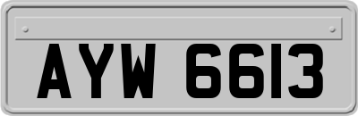 AYW6613