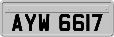 AYW6617