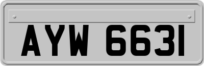 AYW6631