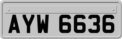 AYW6636