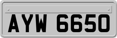 AYW6650